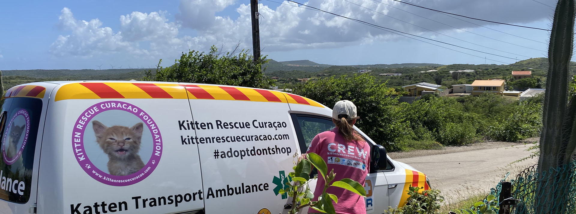 Stichting Kitten Rescue Curacao