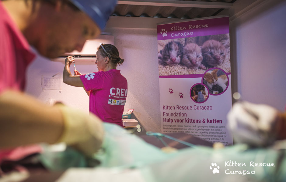 Sterilisatie projecten